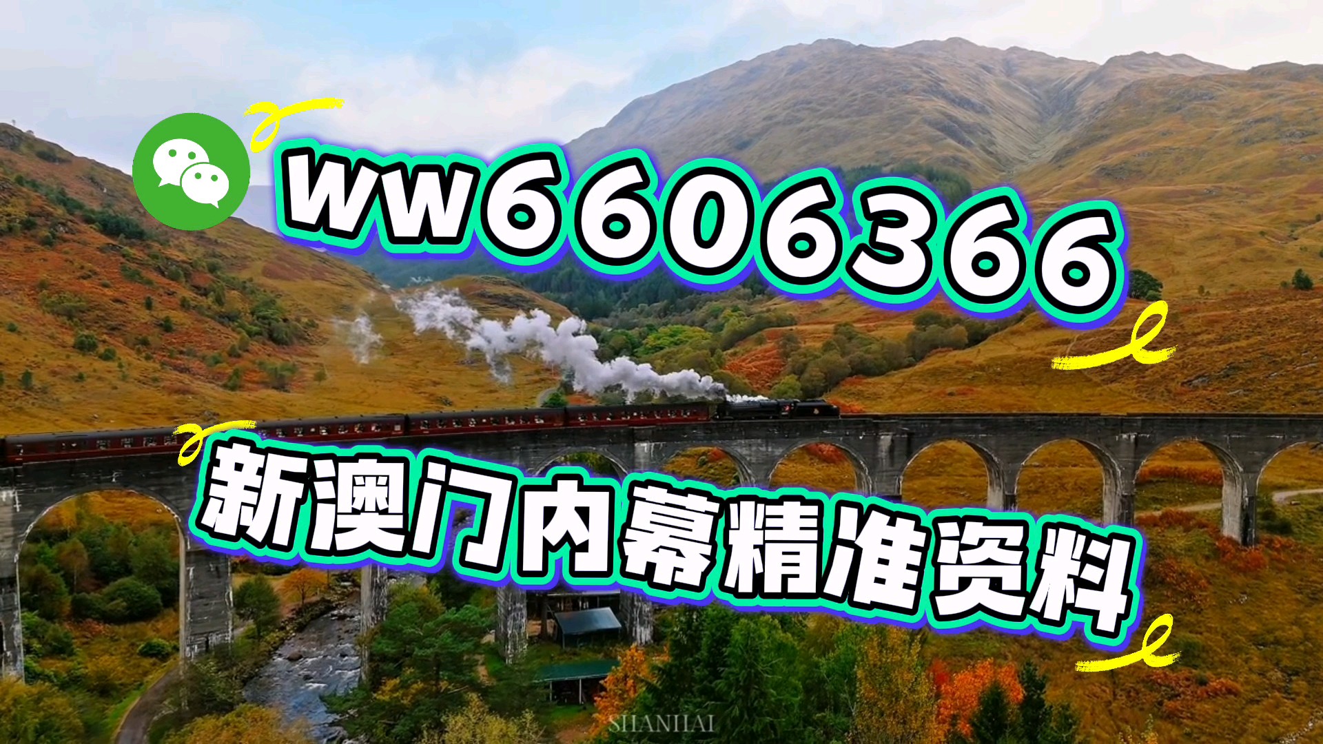 澳門四肖八期期準免費——揭秘彩票預測的秘密，澳門四肖八期期精準預測揭秘，彩票預測的秘密探索