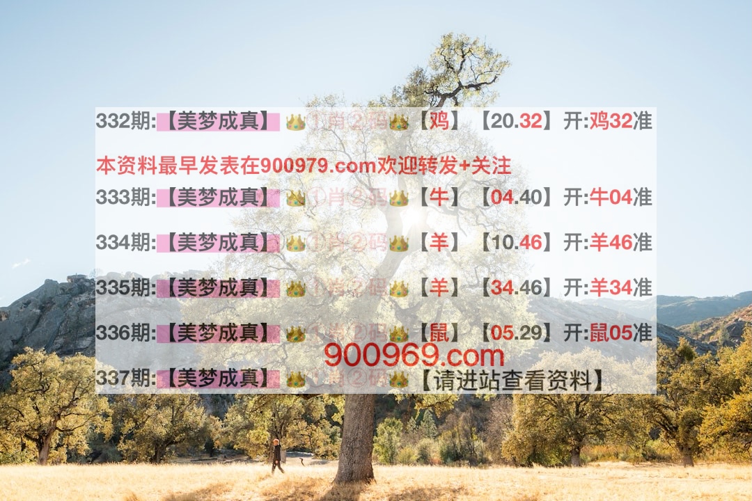 澳門寶典，探索最快開獎結(jié)果及其魅力，澳門寶典，探索最新開獎速度與魅力所在