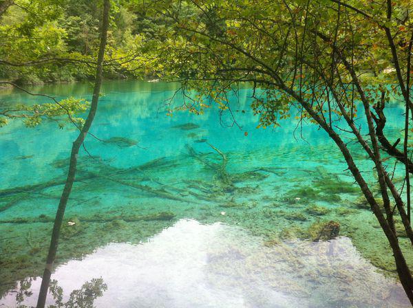 揭秘最佳旅游季節(jié)，幾月份去九寨溝旅游最好？，揭秘最佳旅游季節(jié)，揭秘幾月份去九寨溝旅游最佳體驗(yàn)？