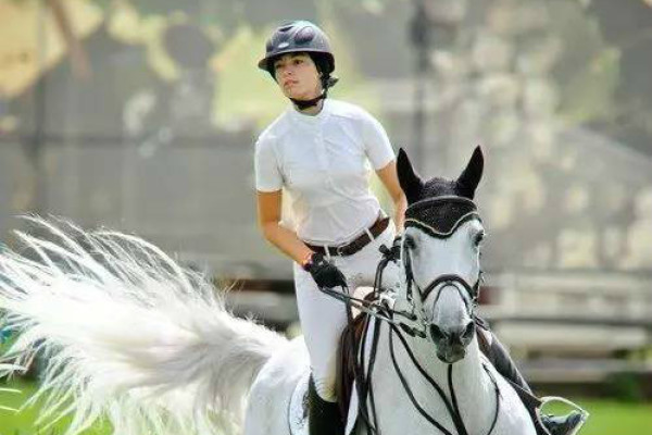 揭秘劉伯溫四肖選一碼的秘密，傳奇人物背后的故事與智慧，劉伯溫四肖選一碼揭秘，傳奇人物背后的秘密與智慧