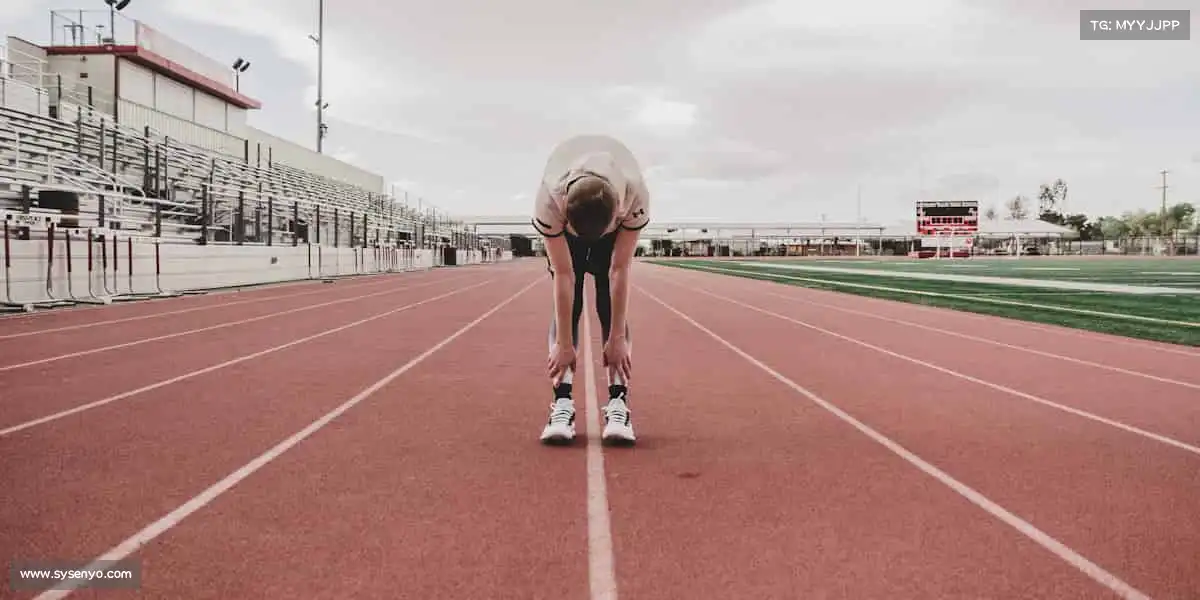 行业领先的理由